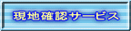 現地確認サービス